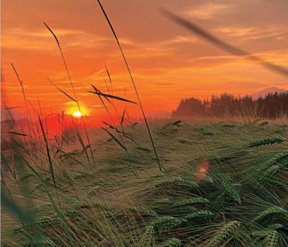 Avgust - Aleš Tomažič